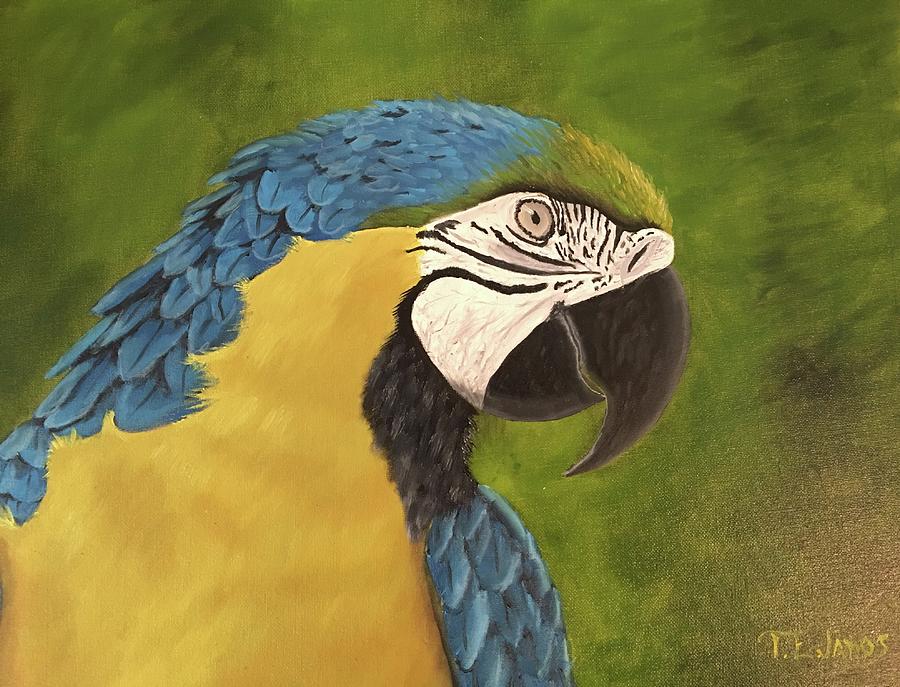 Blue and Gold Mccaw Painting by Thomas Janos