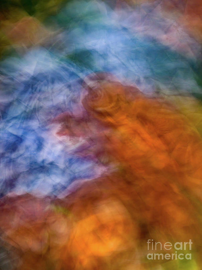 Blue and orange rose flower abstract Photograph by Phillip Rubino