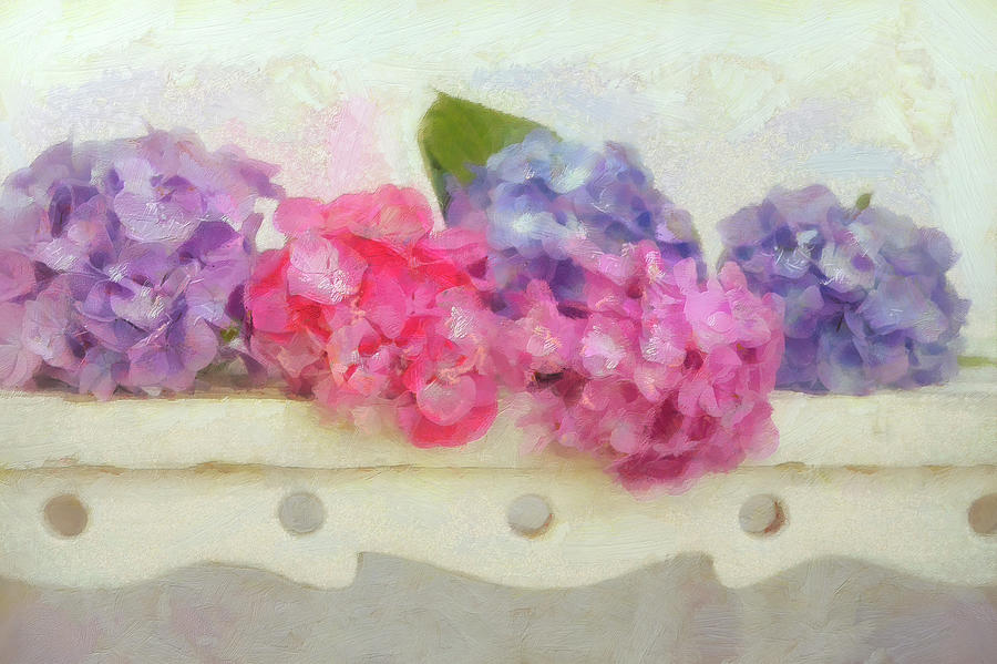 Flower Photograph - Blue And Pink Hydrangea Flowers On A Bench by Cora Niele