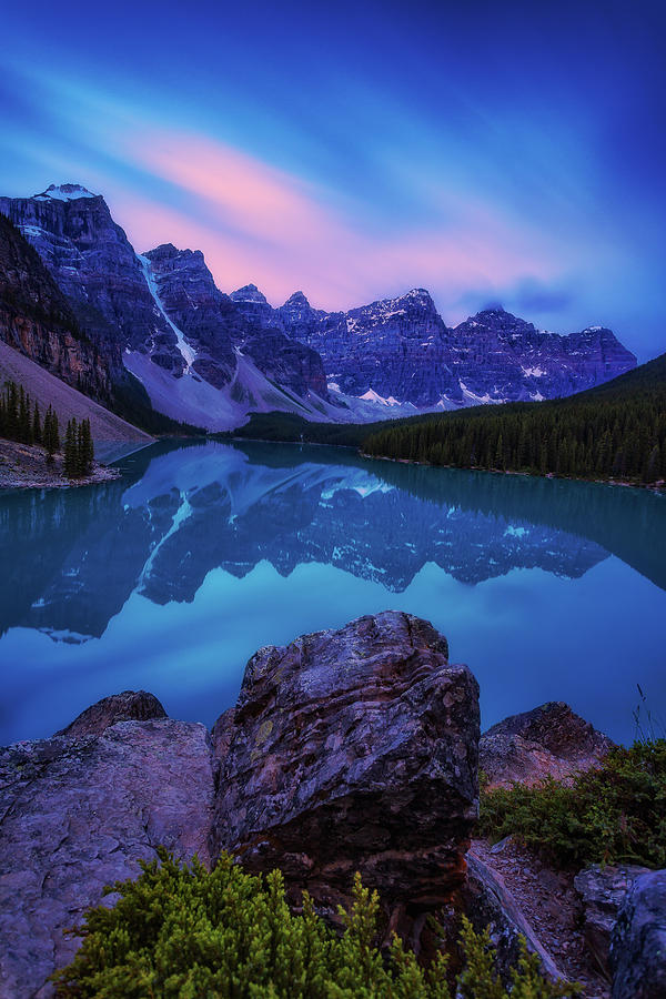 Blue and Pink Photograph by Judi Kubes Blue and Pink Photograph by Judi Kubes