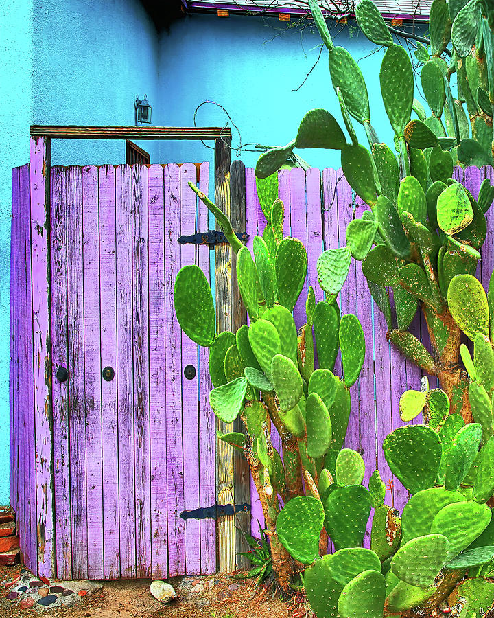 Blue and Purple Door, Southwest Color Photograph by Don Schimmel