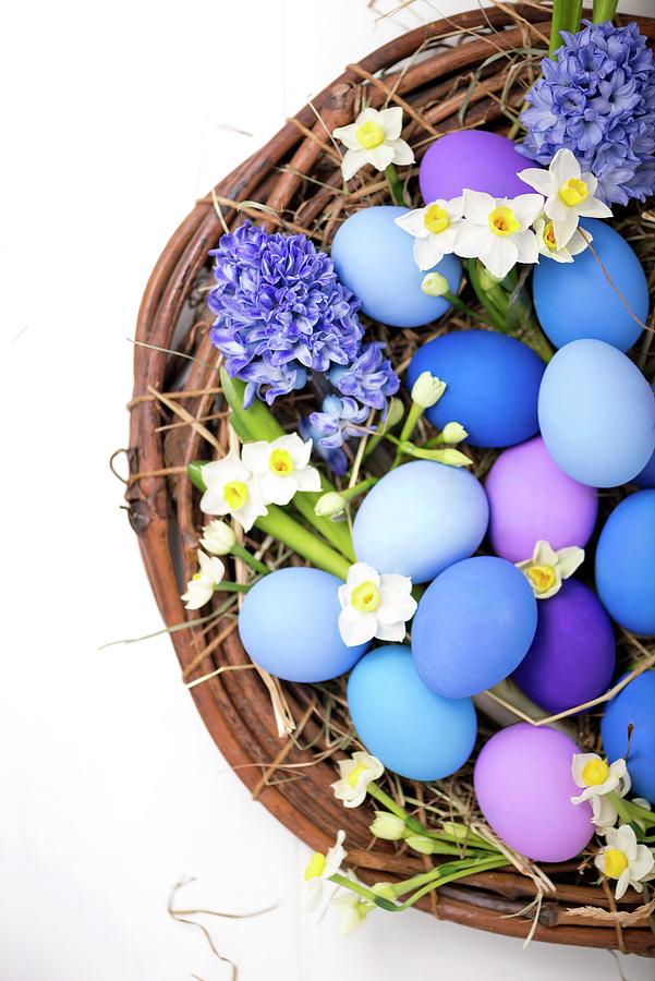 Blue And Purple Easter Eggs With Spring Flowers In A Wicker Basket Photograph by Komar