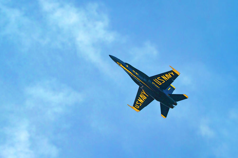Blue Angel One by Bonnie Follett Blue Angel One by Bonnie Follett