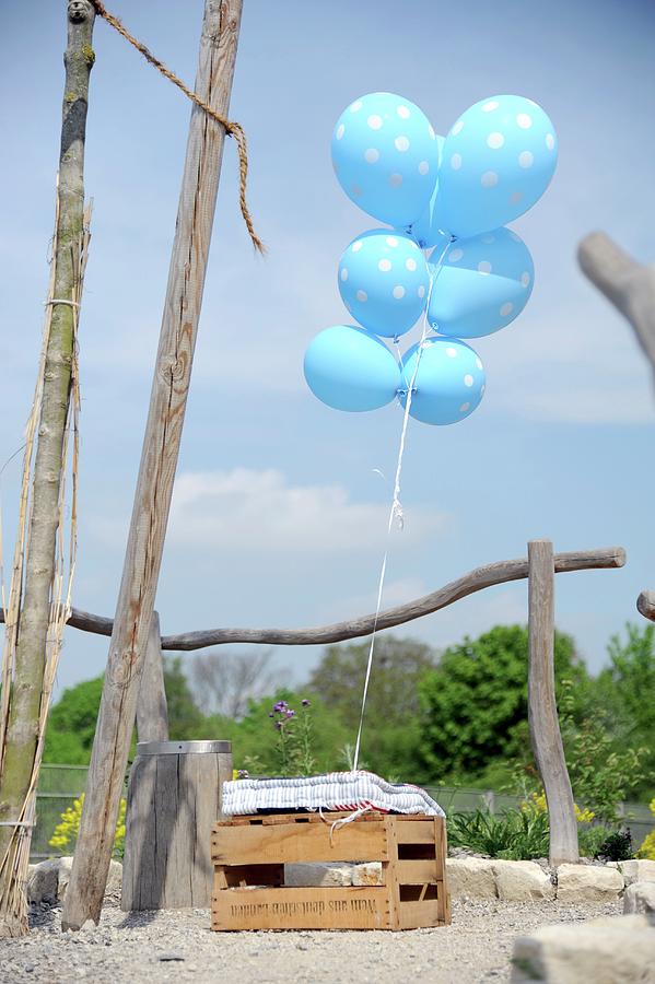 Blue Balloons With White Polka Dots Ties To Wooden Crate Photograph by Alexandra Feitsch
