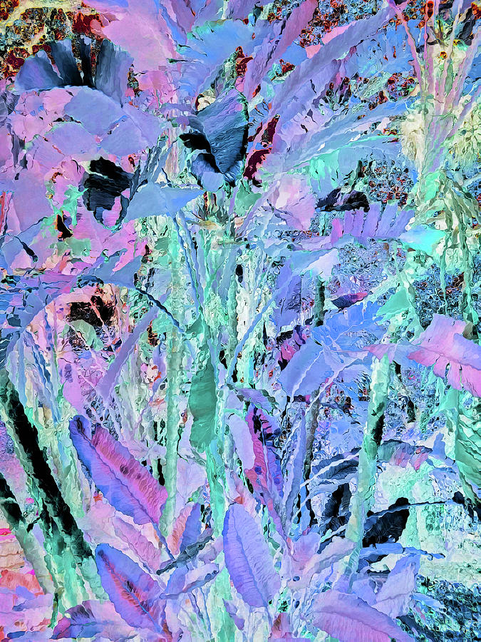 Blue Bayou Digital Art by Ann Johndro-Collins
