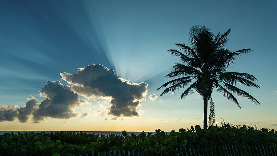 Blue Beam Sunrise Delray Beach Florida Photograph by Lawrence S Richardson Jr