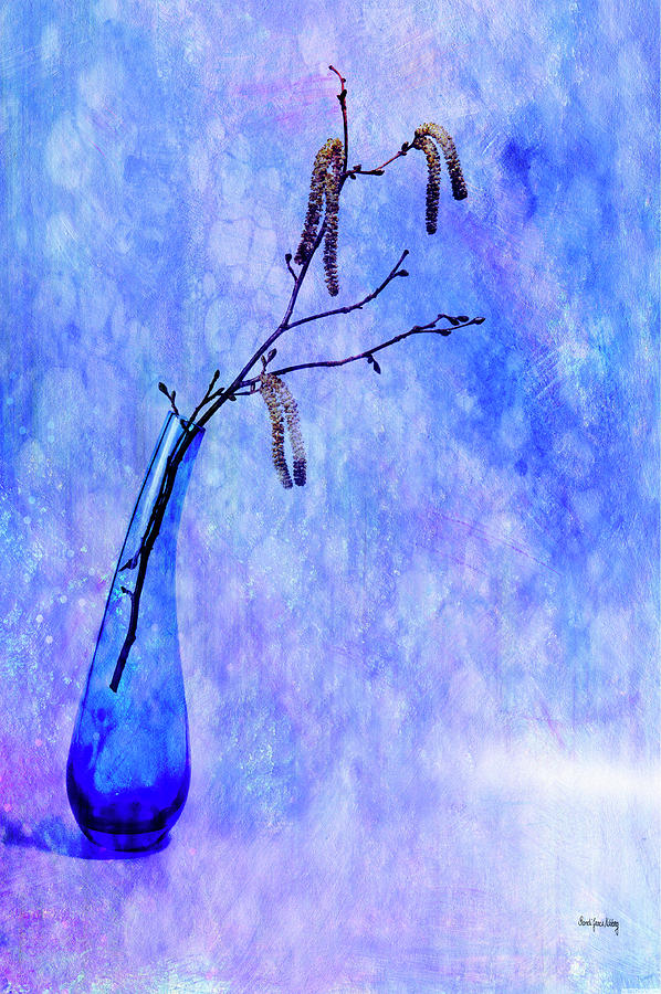 Flower Photograph - Blue Beginning by Randi Grace Nilsberg