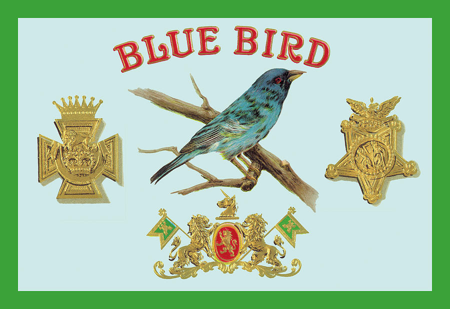 Blue Bird Cigars Painting by Unknown
