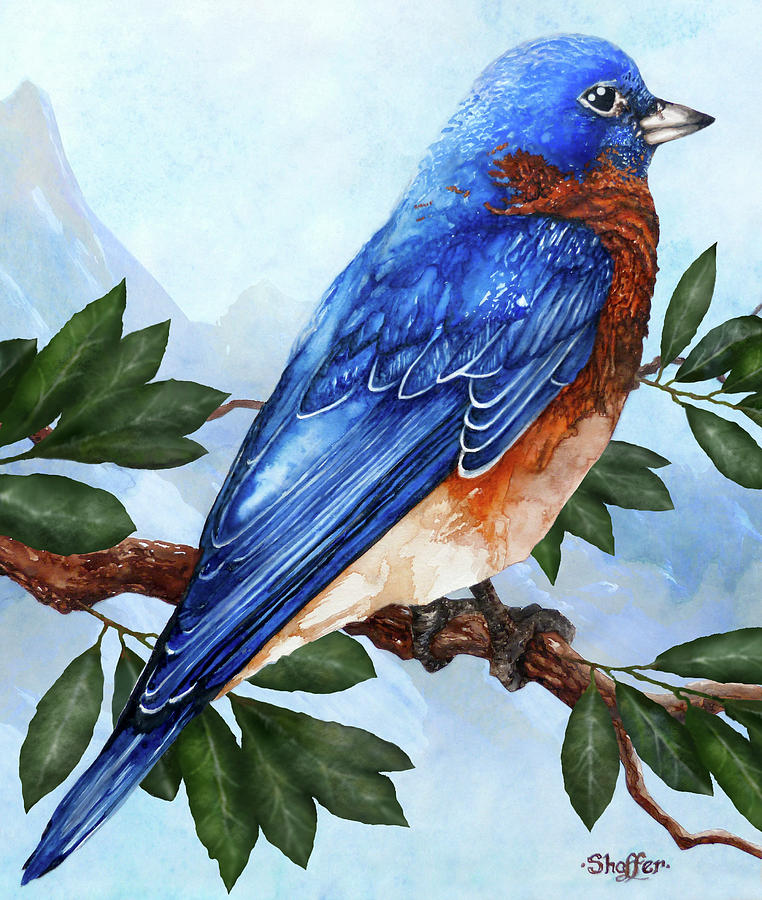 Blue Bird Painting by Curtiss Shaffer