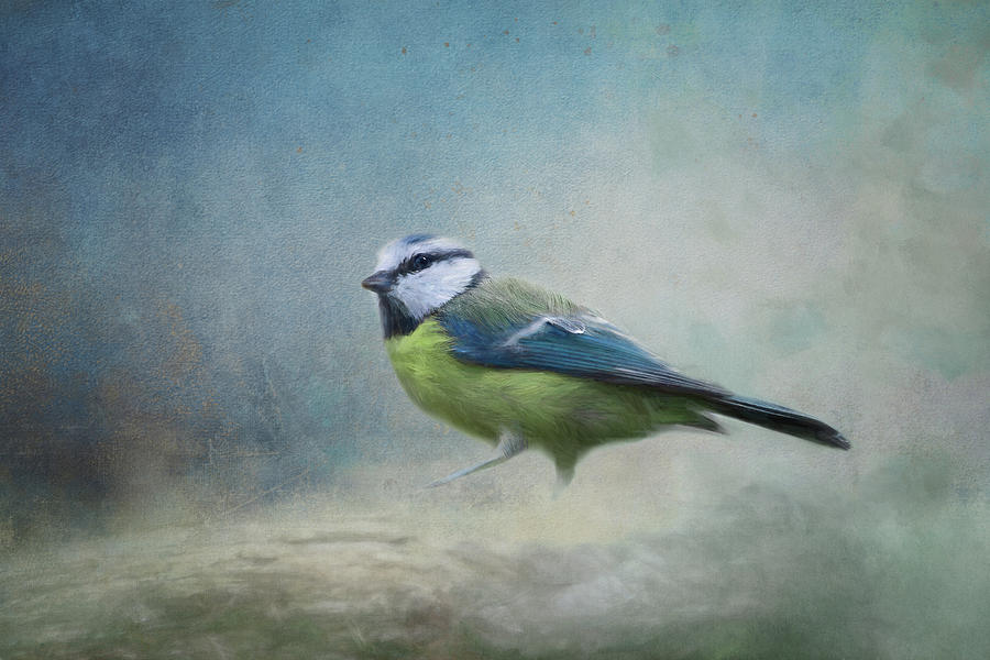 Blue Bird Digital Art by Terry Davis