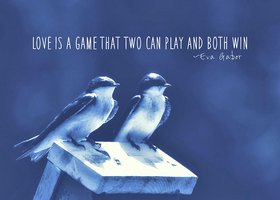 BLUE BIRDS quotes Photograph by JAMART Photography