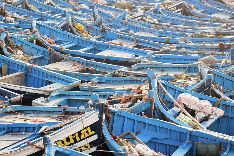 Blue Boats in Morocco Photograph by Nicole Young