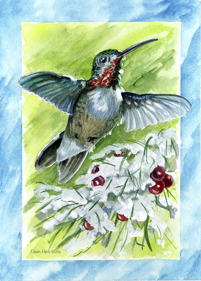 Winter Painting - Blue Border Hummingbird Holly by Eileen Herb-witte