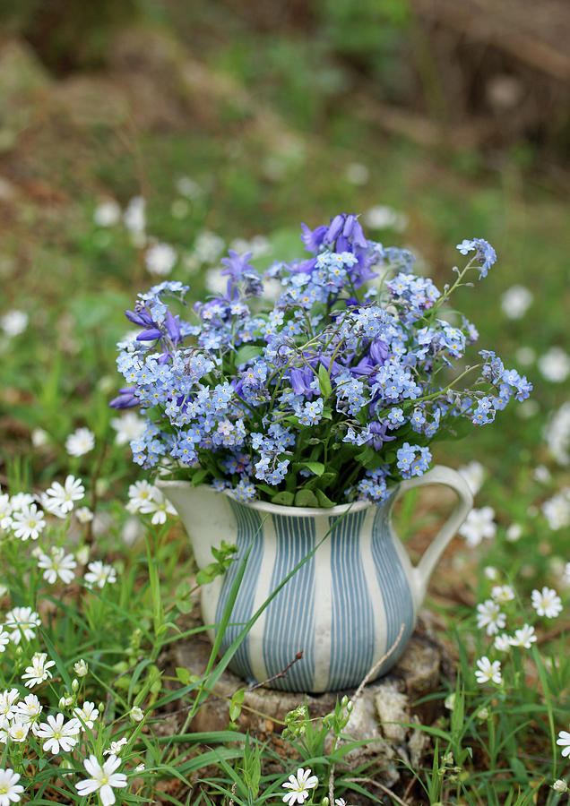 Blue Bouquet Of Forget-me-nots And Columbines Photograph by Angelica Linnhoff