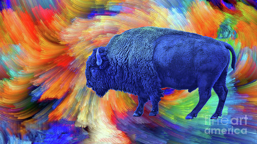 Buffalo Photograph - Blue Buffalo by Steven Parker