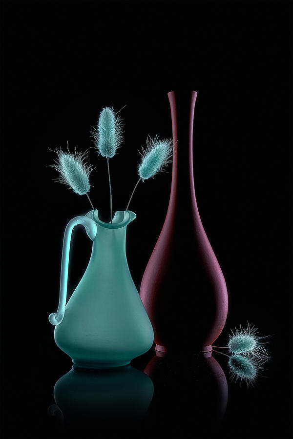 Blue Bunny Tails Photograph by Lydia Jacobs