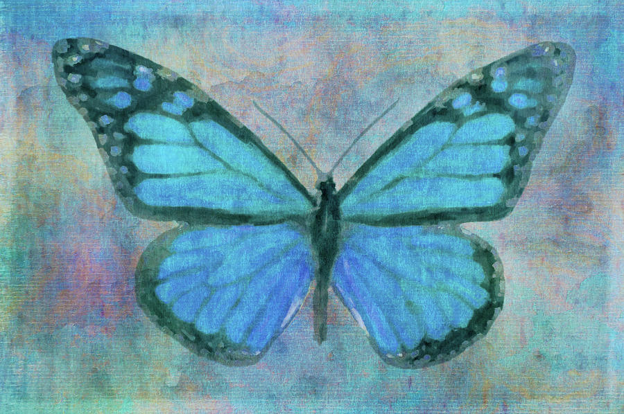 Insects Photograph - Blue Butterfly Watercolor by Cora Niele