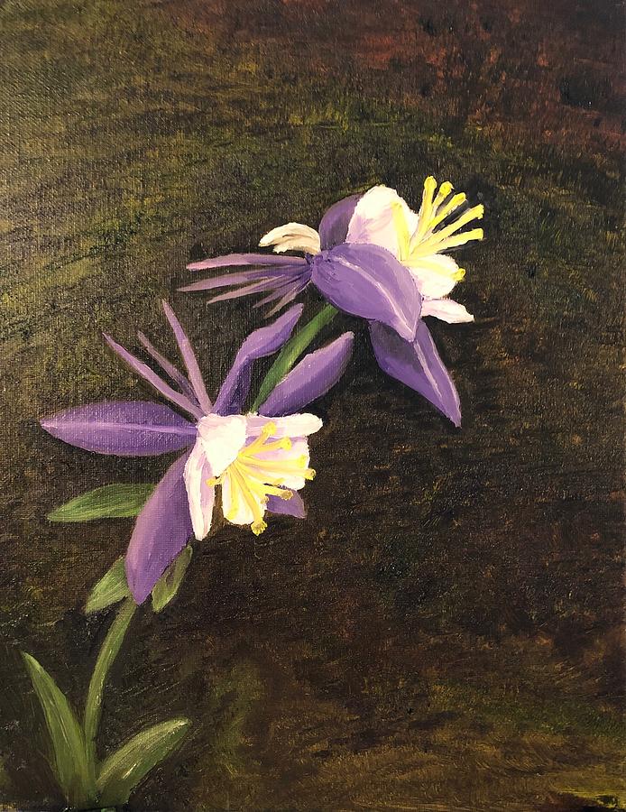 Blue Columbine Painting by Alyssa Zuercher