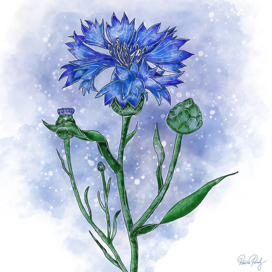 Blue Cornflower Painting By Patricia Piotrak