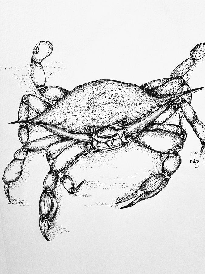 Blue Crab1 Drawing by Mindy Gibbs