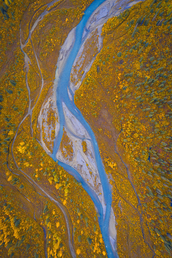 Landscape Photograph - Blue Creek by Michael Zheng