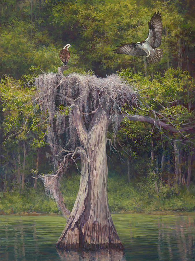Osprey Painting - Blue Cyprus Lake by Laurie Snow Hein
