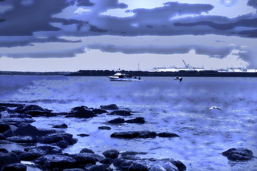 Blue Day In Botany Bay Photograph
