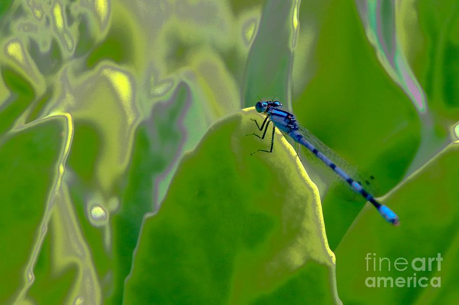 Blue Dragonfly Digital Art by Susan Rydberg