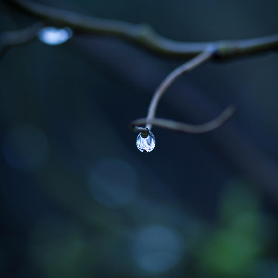 Blue Drop Photograph by Photography By Gordana Adamovic Mladenovic