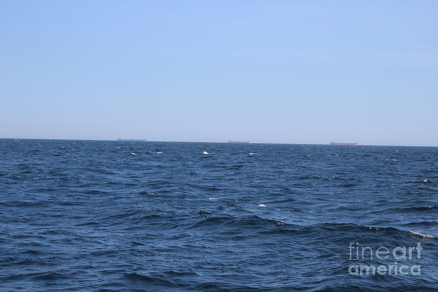 Atlantic Ocean Blue Water And White Caps Photograph by Barbra Telfer