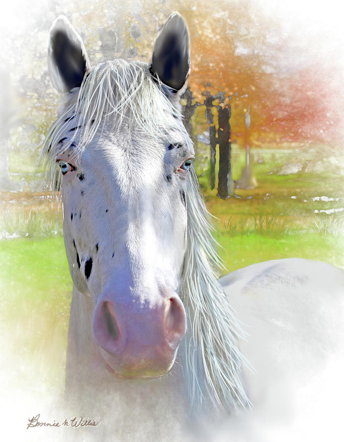 Blue Eyed Horse Photograph by Bonnie Willis