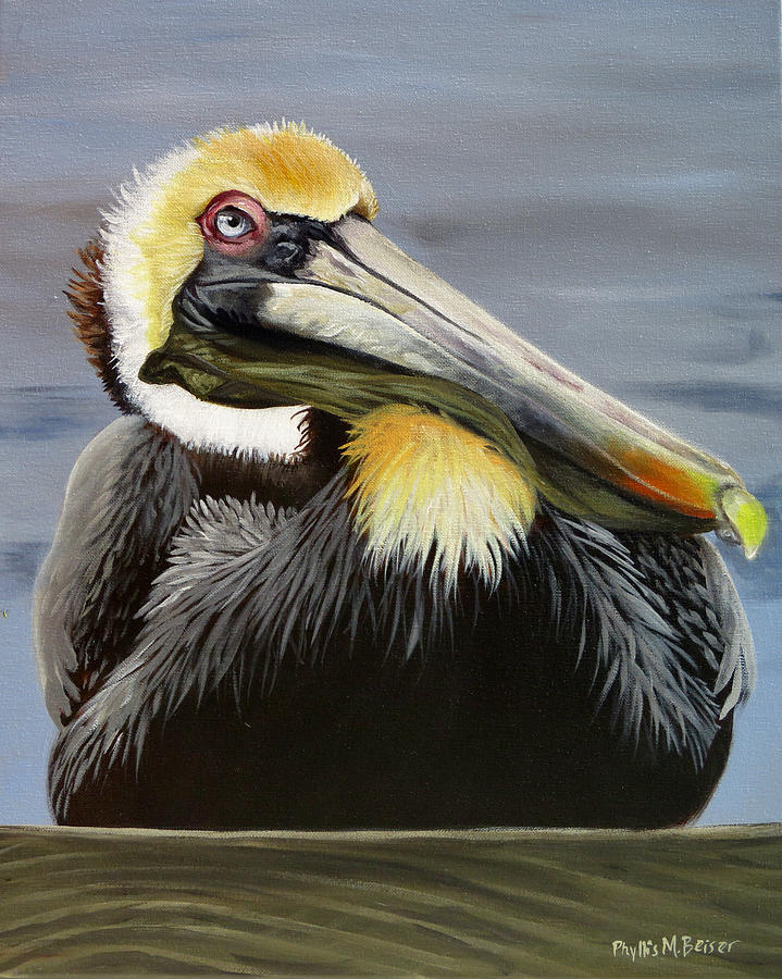 Blue Eyed Pelican Painting by Phyllis Beiser - Fine Art America