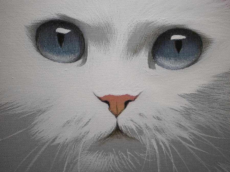 Blue Eyes of White Cat  Painting by Alina Oseeva
