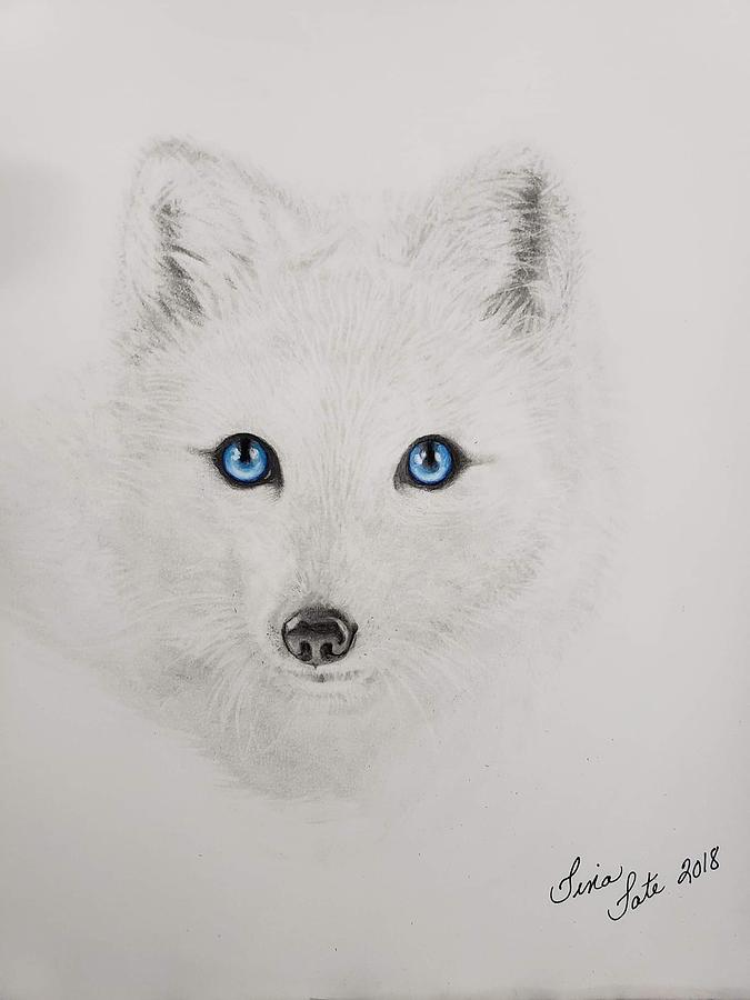 Fox Eyes Drawing