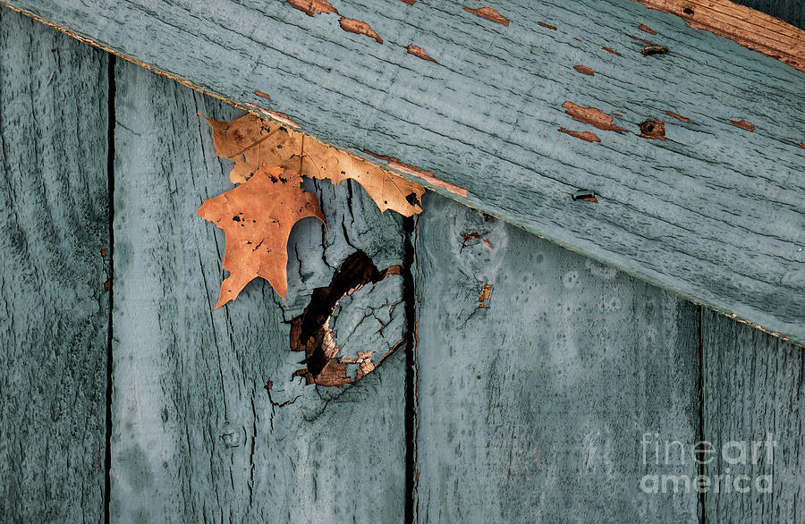 Blue Fence by James Guilford Blue Fence by James Guilford