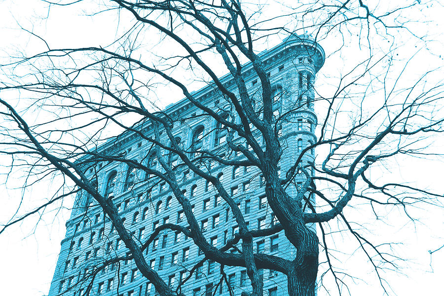 Tree Mixed Media - Blue Flatiron by Erin Clark