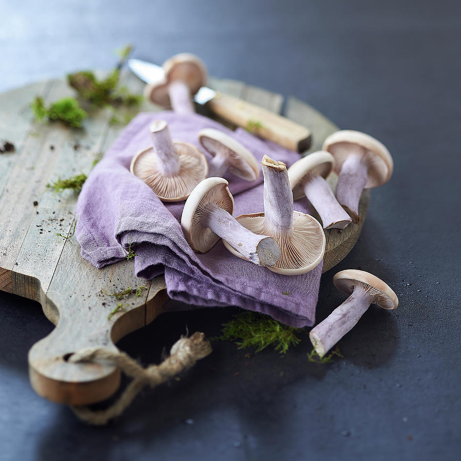 https://images.fineartamerica.com/images/artworkimages/mediumlarge/2/blue-foot-mushrooms-mauve-cloth-and-moss-on-a-chopping-board-bru.jpg