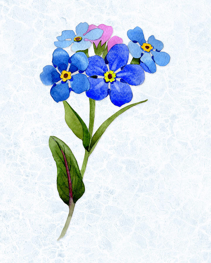 Blue Forget Me Nots Flowers On Subtle Blue Marble Background Painting By Elaine Plesser
