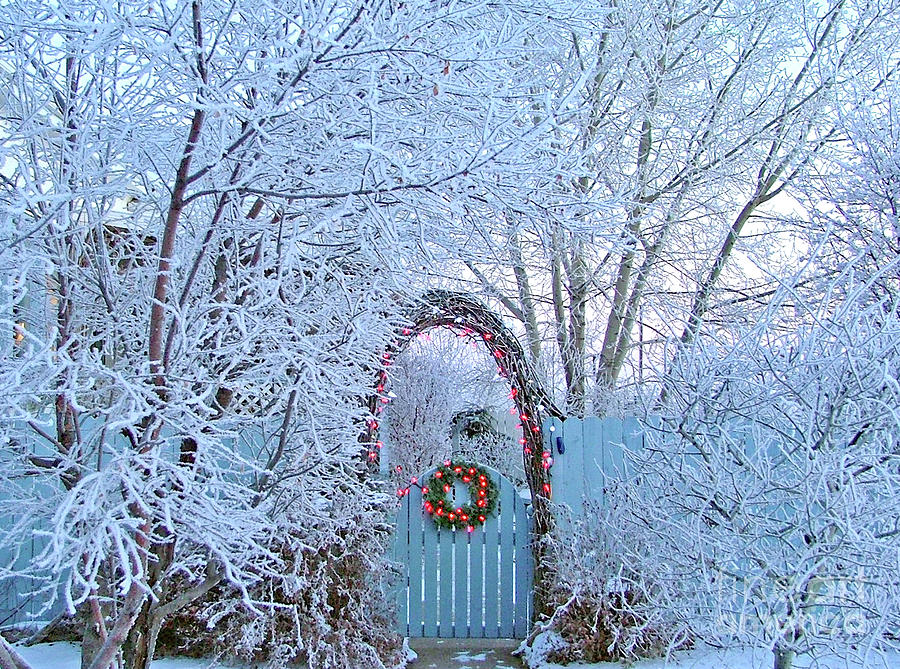 Blue Garden Gate  With Frost Photograph by Wwing
