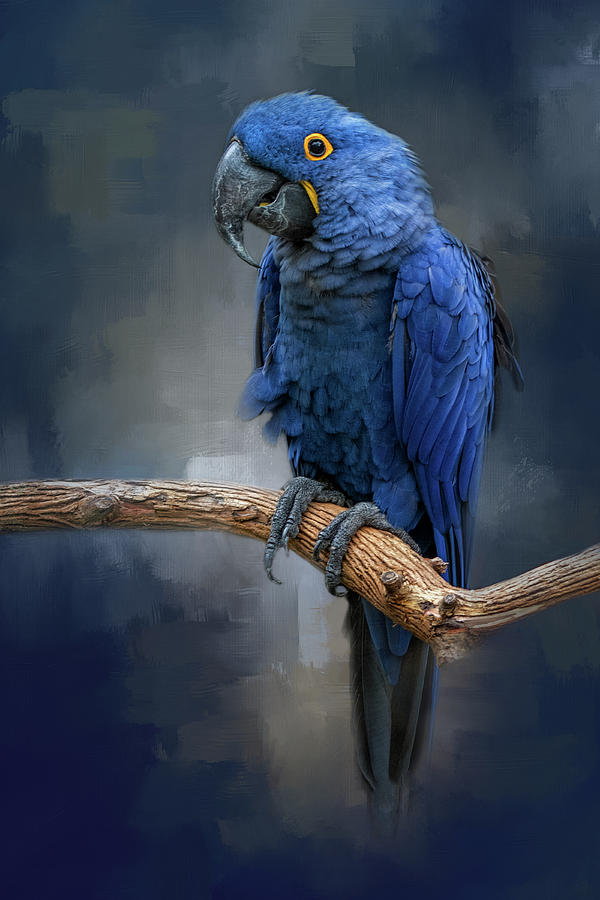 Blue Gem by Kelley Parker Blue Gem by Kelley Parker