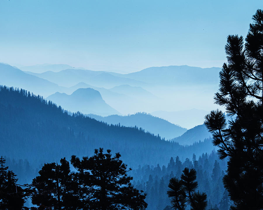 Sequoia National Park Photograph - Blue Hazy Mountains Recede In Distance, Sequoia National Park by Cavan Images