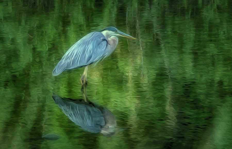 Blue Heron Photograph by Bill Wiebesiek