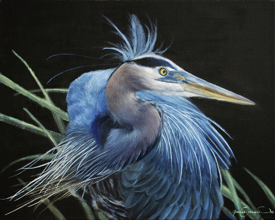 Bird Painting - Blue Heron by James Corwin Fine Art