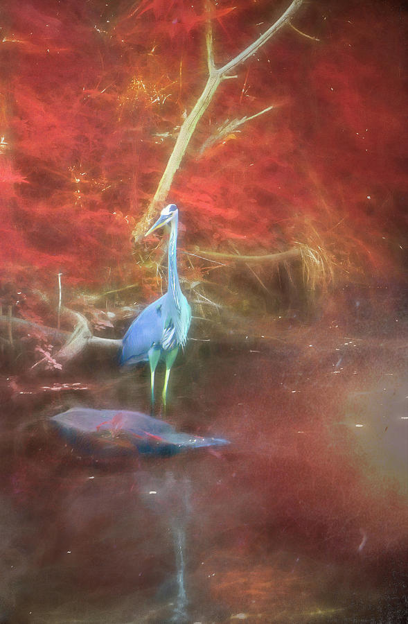 Blue Heron Red Background Digital Art by Jason Fink