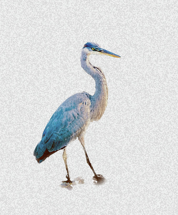Blue Heron Silhouette Digital Art