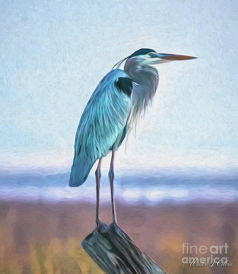 Blue Heron Digital Art by Walter Colvin