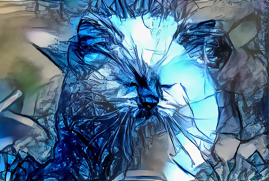 Blue Himmy Cat Digital Art by Don Northup