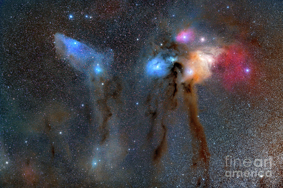 Blue Horsehead Nebula And Rho Ophiuchi Nebula Complex Photograph by Miguel Claro/science Photo Library