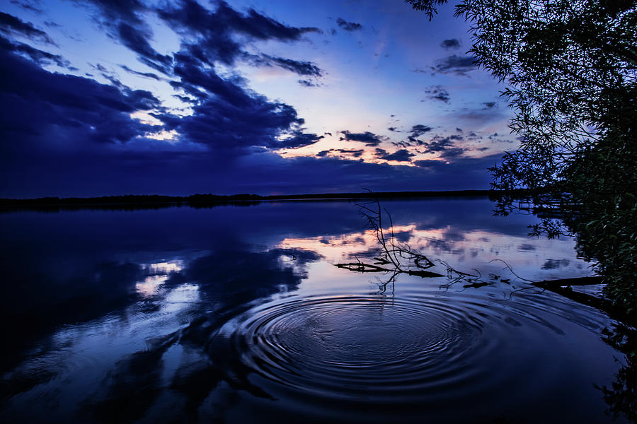 Sunset Photograph - Blue Hour Fish by Neal Nealis