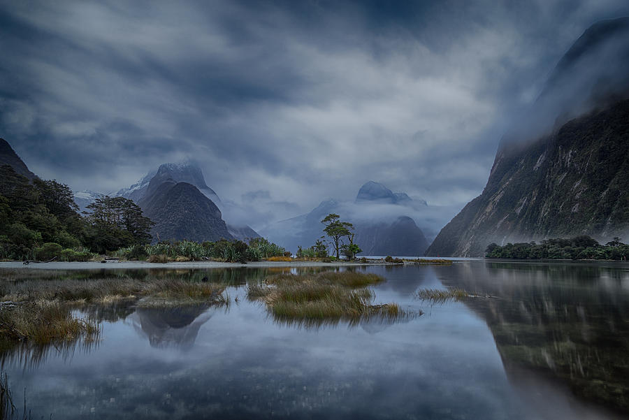 Blue Hour Milford Sound Photograph by Andy Chan